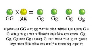 পাদ্রীর পরিক্ষা ২ (ক্লিক করলে বড় হবে)
